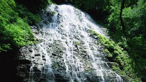 新型高端